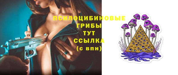 ПСИЛОЦИБИНОВЫЕ ГРИБЫ Новодвинск