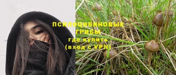 ПСИЛОЦИБИНОВЫЕ ГРИБЫ Новодвинск