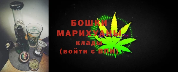 ПСИЛОЦИБИНОВЫЕ ГРИБЫ Новодвинск