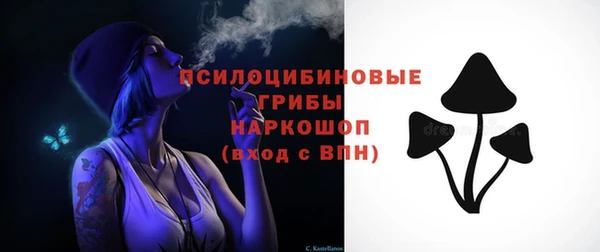 ПСИЛОЦИБИНОВЫЕ ГРИБЫ Новодвинск