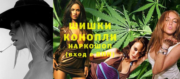 ешки Новозыбков