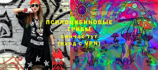 ПСИЛОЦИБИНОВЫЕ ГРИБЫ Новодвинск