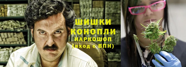 ешки Новозыбков