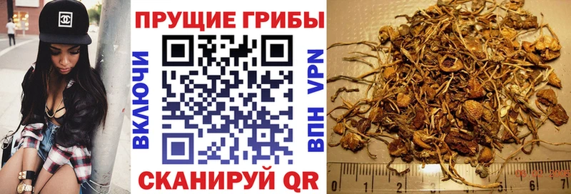 Галлюциногенные грибы ЛСД  Севастополь 
