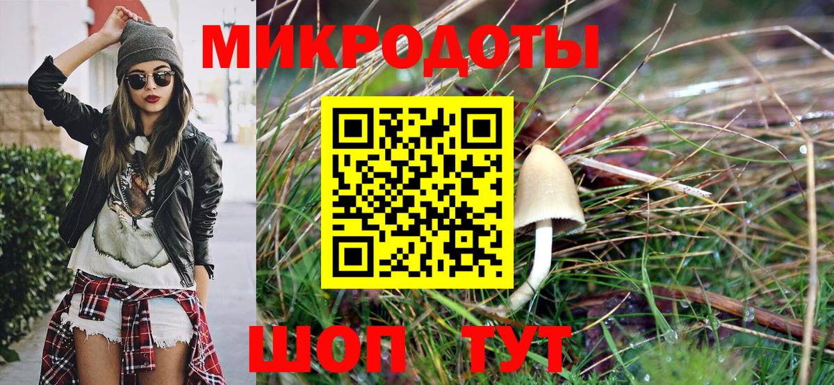 Севастополь  Галлюциногенные грибы GOLDEN TEACHER  наркотики  Вход с VPN 